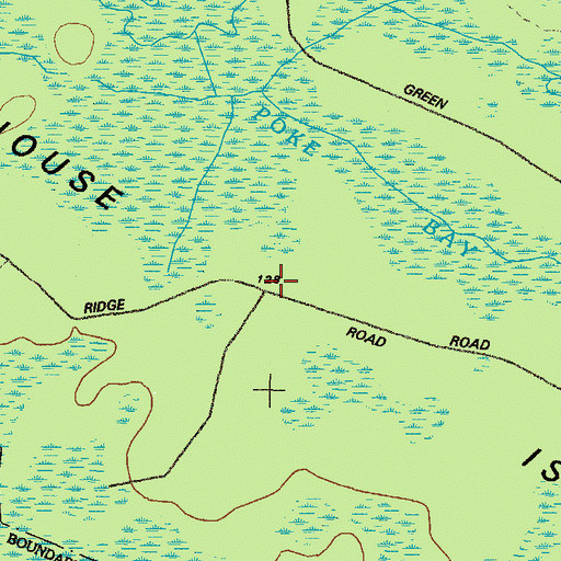 Topographic Map of Cowhouse Island, GA