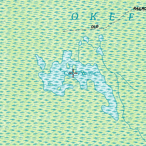 Topographic Map of Cox Prairie, GA