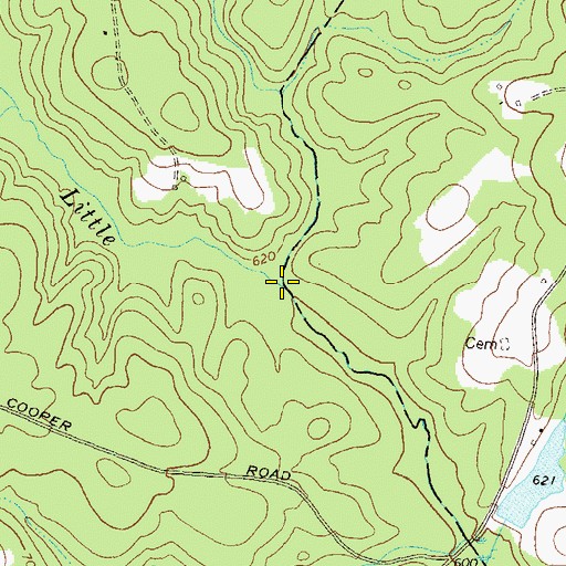 Topographic Map of Dennis Creek, GA
