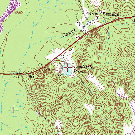 Topographic Map of Doolittle Pond, GA
