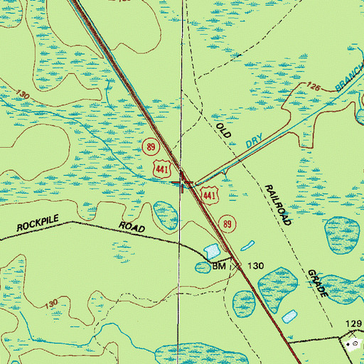 Topographic Map of Dry Branch, GA