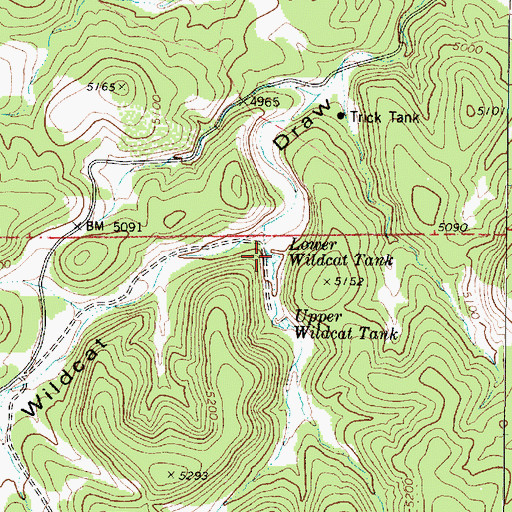 Topographic Map of Lower Wildcat Tank, AZ