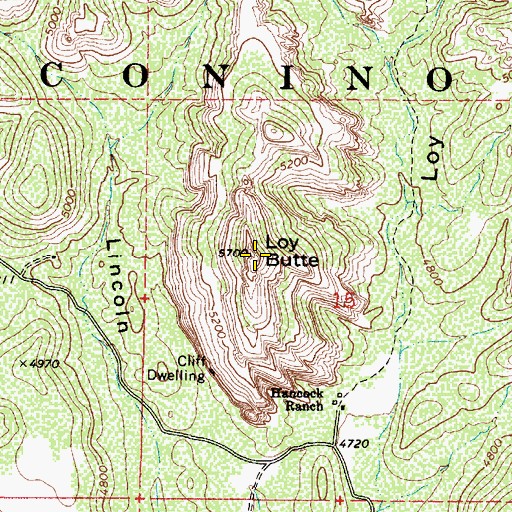 Topographic Map of Loy Butte, AZ