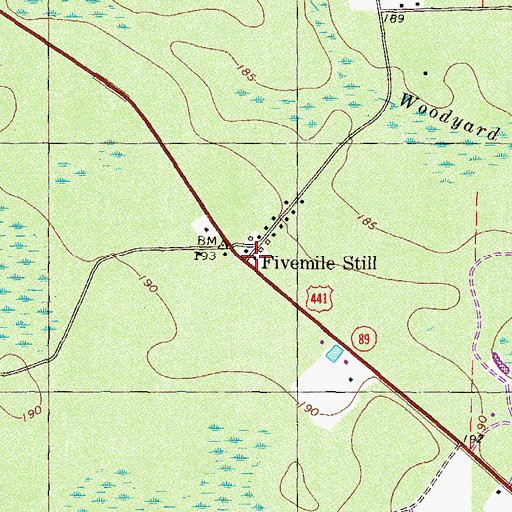 Topographic Map of Fivemile Still, GA