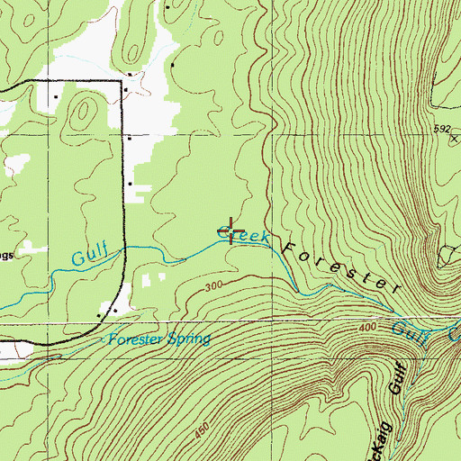 Topographic Map of Forester Gulch, GA
