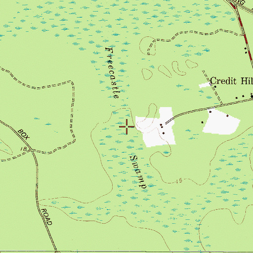 Topographic Map of Freecastle Swamp, GA