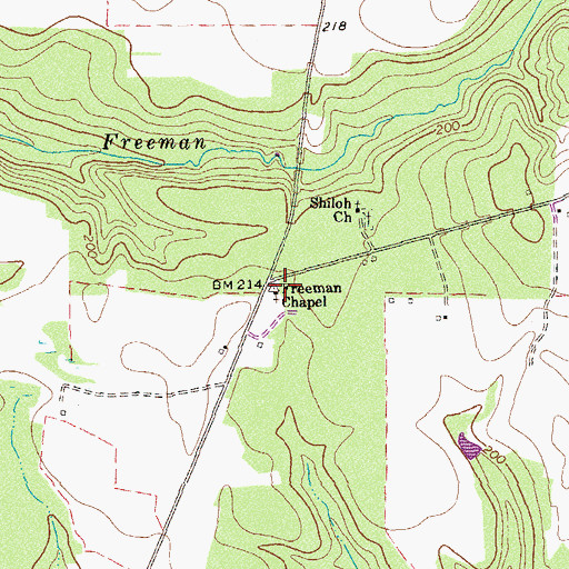 Topographic Map of Freeman Chapel, GA
