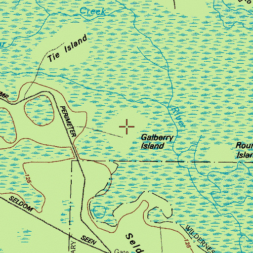 Topographic Map of Galberry Island, GA