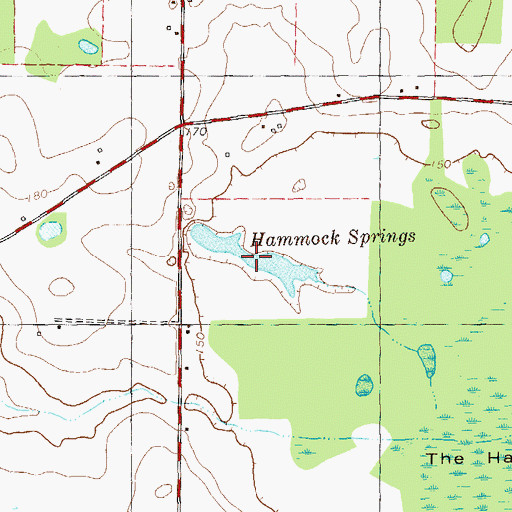 Topographic Map of Hammock Springs, GA