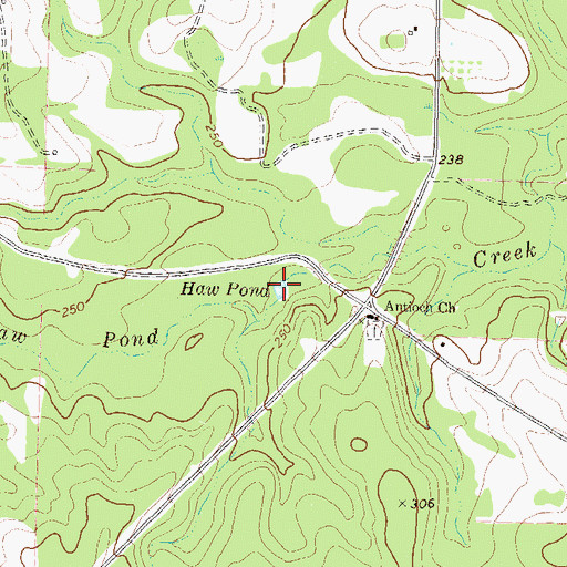 Topographic Map of Haw Pond, GA