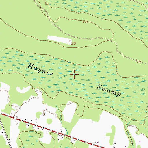 Topographic Map of Haynes Swamp, GA