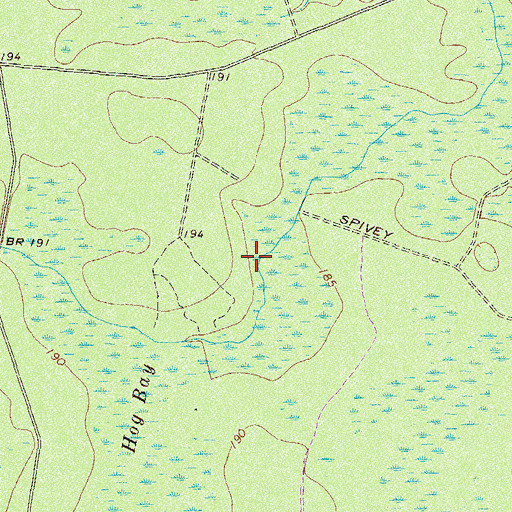 Topographic Map of Hog Bay, GA