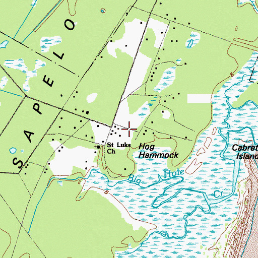 Topographic Map of Hog Hammock, GA