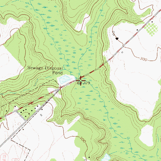 Topographic Map of Horse Branch, GA
