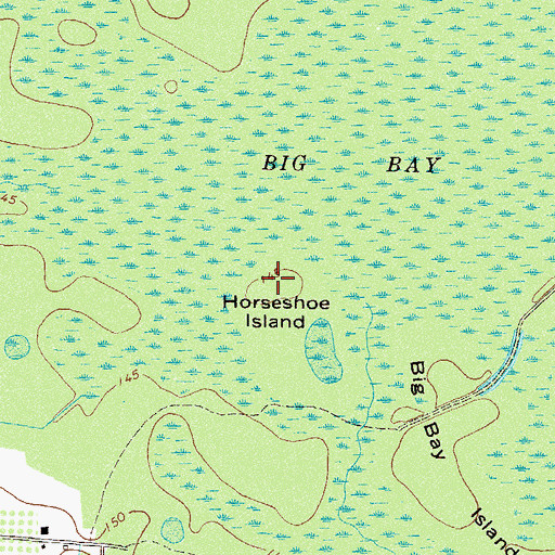 Topographic Map of Horseshoe Island, GA