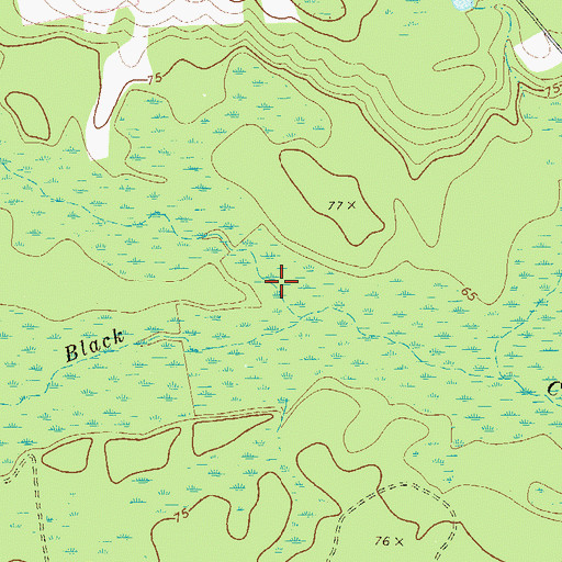 Topographic Map of Iric Branch, GA