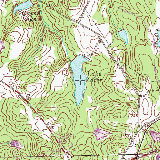 Topographic Map of Lake Olive, GA