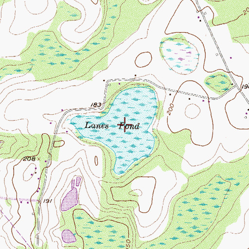 Topographic Map of Lanes Pond, GA
