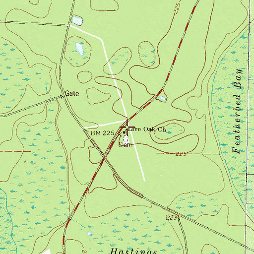 Topographic Map of Live Oak Church, GA