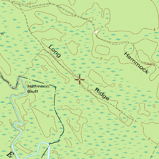 Topographic Map of Long Ridge, GA