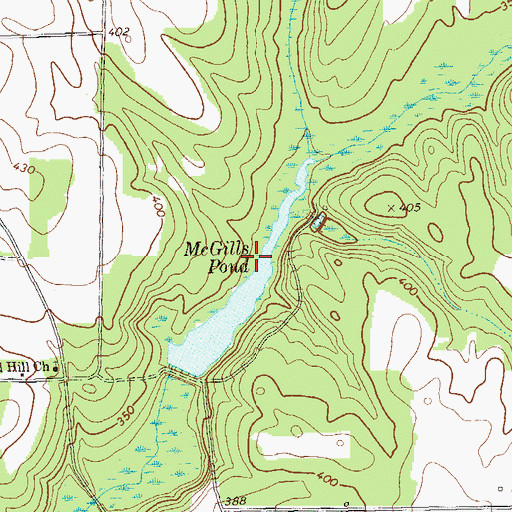Topographic Map of McGills Pond, GA