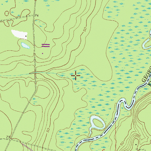 Topographic Map of Mill Branch, GA