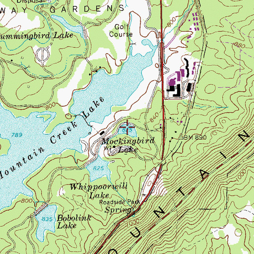 Topographic Map of Mockingbrid Lake, GA