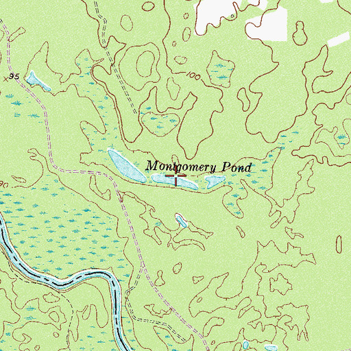 Topographic Map of Montgomery Pond, GA