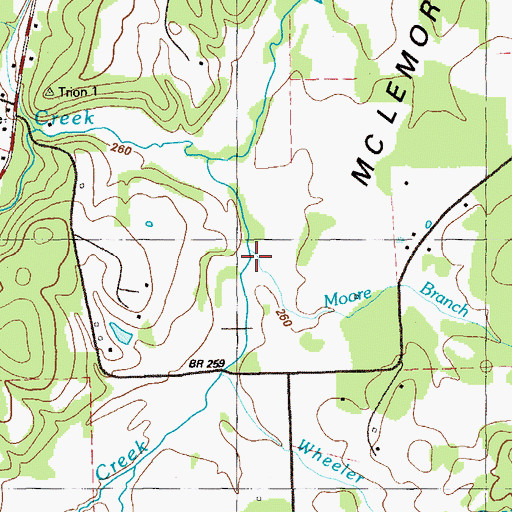Topographic Map of Moore Branch, GA