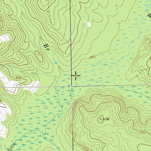 Topographic Map of Mossy Branch, GA