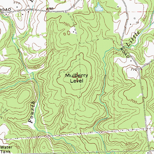 Topographic Map of Mulberry Level, GA