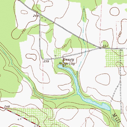 Topographic Map of Nancy Spring, GA
