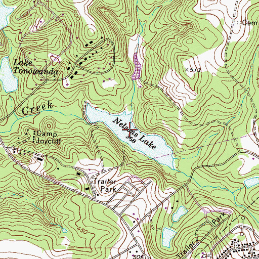 Topographic Map of Nelsons Lake, GA