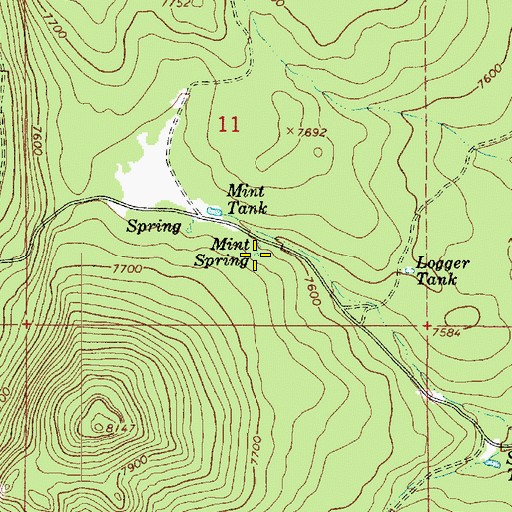 Topographic Map of Mint Spring, AZ