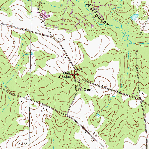 Topographic Map of Oak Chapel, GA