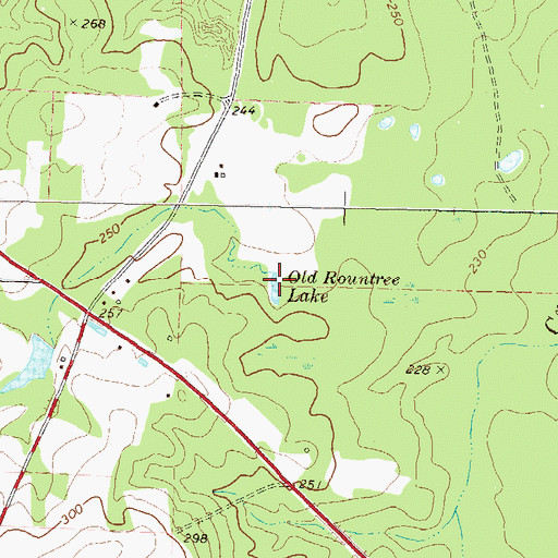 Topographic Map of Old Rountree Lake, GA