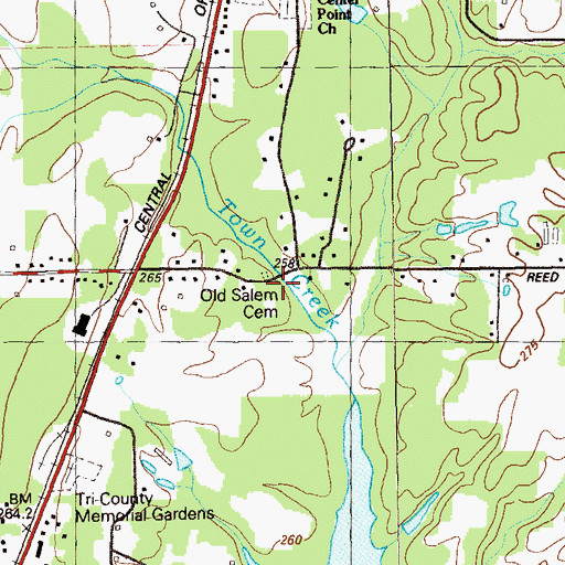 Topographic Map of Old Salem Cemetery, GA