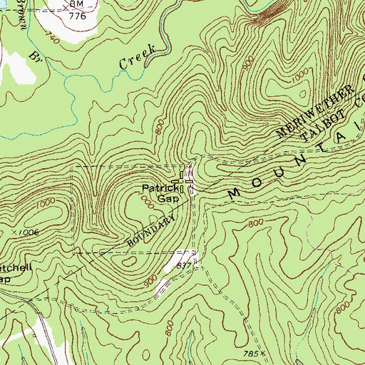 Topographic Map of Patrick Gap, GA