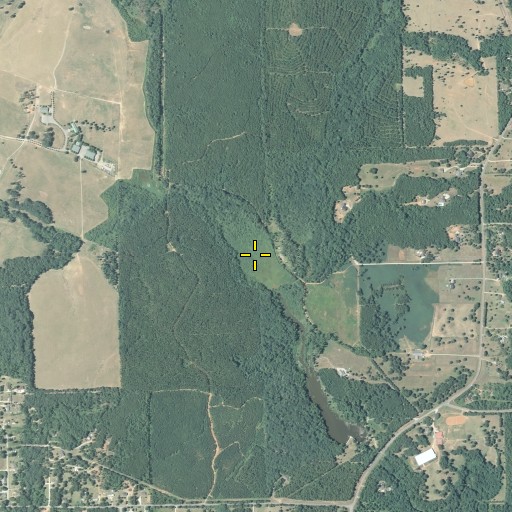 Aerial/Satellite Image of Pete Branch, GA