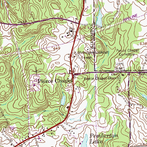 Topographic Map of Pierce Chapel, GA