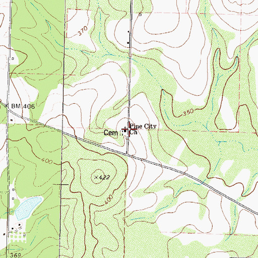 Topographic Map of Pine City Church, GA