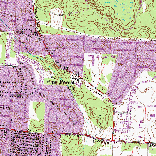 Topographic Map of Pine Forest Church, GA