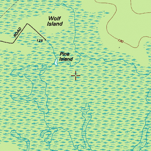 Topographic Map of Pine Island, GA