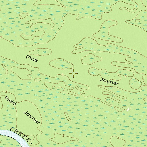 Topographic Map of Pine Joyner, GA