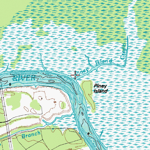 Topographic Map of Piney Island Creek, GA