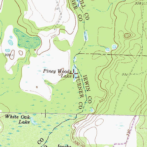 Piney Woods Lake, GA