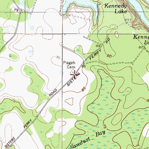 Topographic Map of Pisgah Cemetery, GA