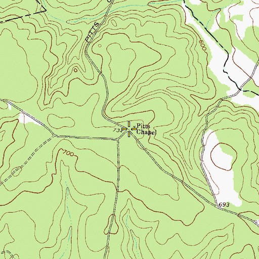 Topographic Map of Pitts Chapel, GA