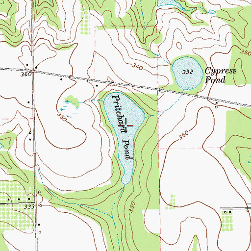 Topographic Map of Pritchard Pond, GA