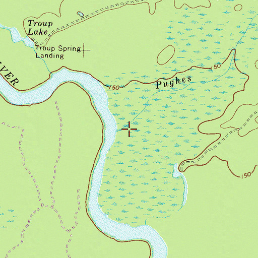 Topographic Map of Pughes Creek, GA